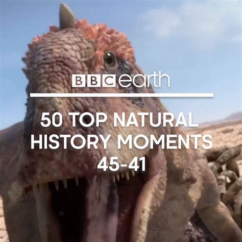 Bbc Earth 50 Top Natural History Moments 45 41 This Earth Day Stay