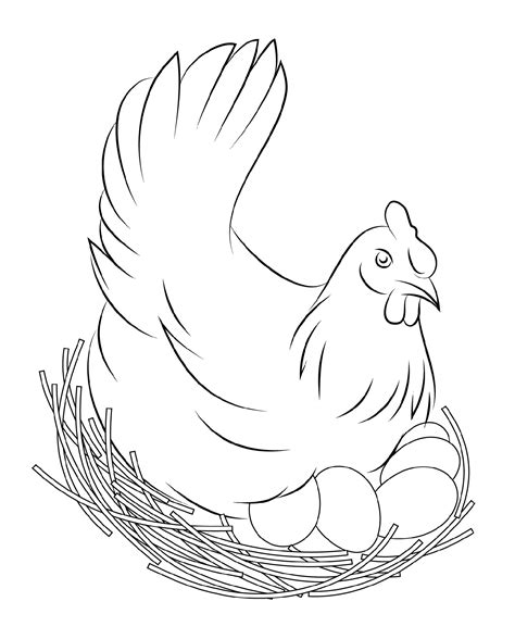 Chicken Free Printable Adult Coloring Pages