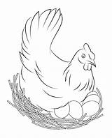 Chicken Coloring Adults Printable Flapping sketch template