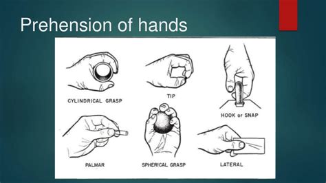 Biomechanics Of Wrist And Hand