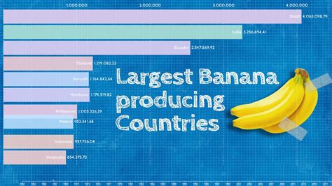 Top 10 Largest Banana Producing Countries In The World Youtube