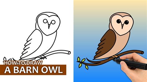 Spectacular Ideas Of How To Draw A Barn Owl Step By Step Photos Lantarexa