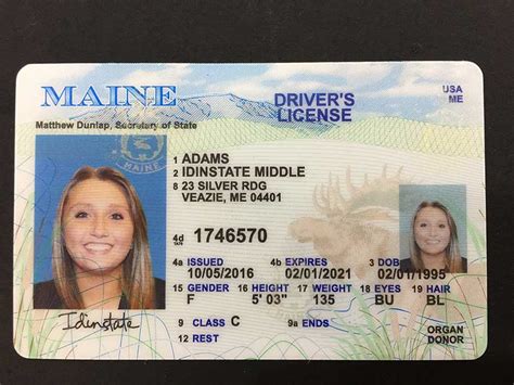 Best Maine Fake Idbest Maine Fake Idfake Id Nevada State