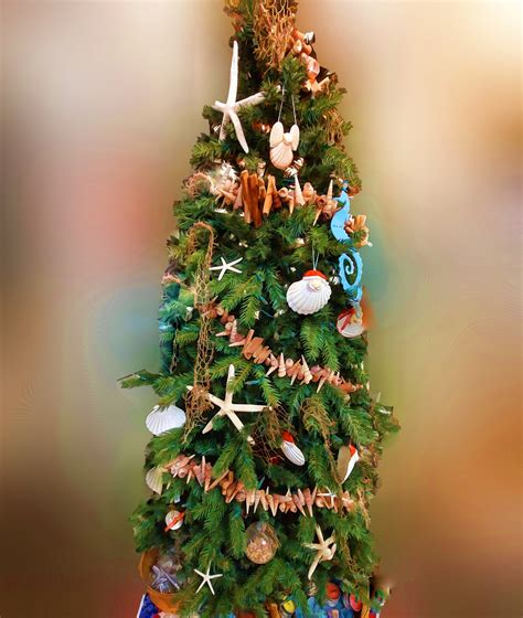 Nautical Decorated Christmas Tree Free Stock Photo Public Domain Pictures