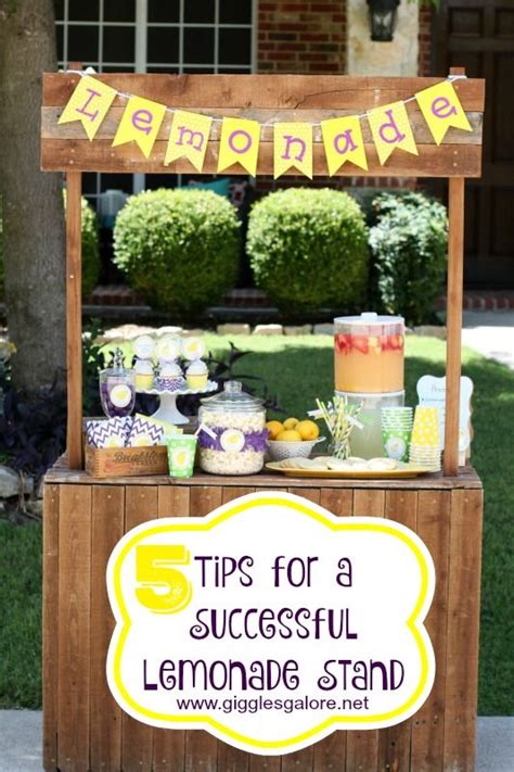 pin on lemonade stand party