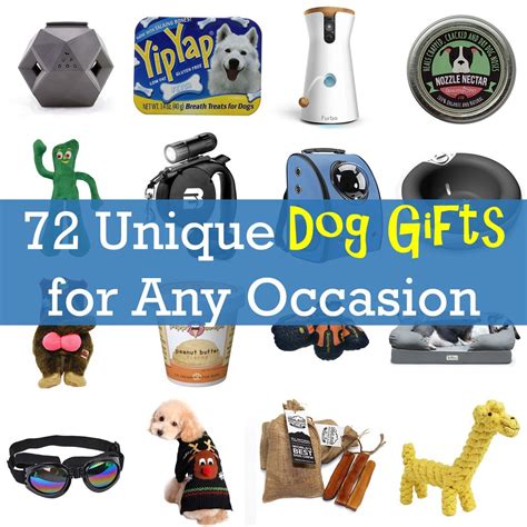 Perfect for celebrating your dog's adoption, birthday, special occasions or just to let your dog know how much he/she is loved! 72 Unique Dog Gifts for Any Occasion - Bone & Yarn