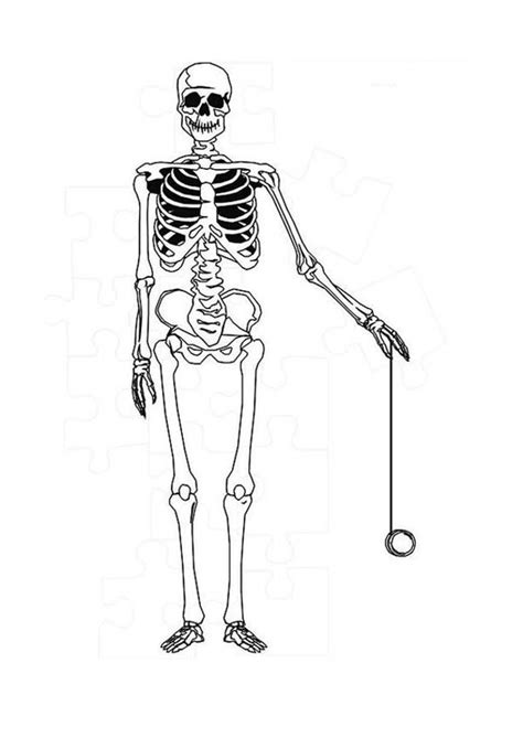 Anatomy Skeleton Coloring Pages Spending Time With Coloring Pages