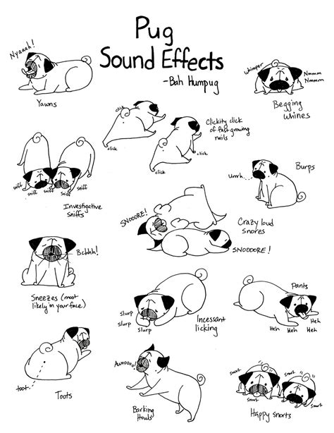 Our free dog sound effects are some of the most popular in our library. Bah Humpug: Pug Sound Effects