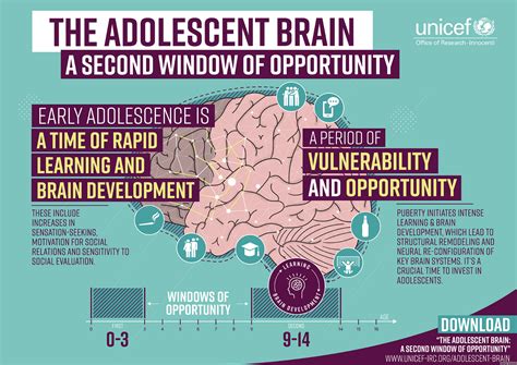 Healthy Brain Development Teenagers Hampshire Healthy Families