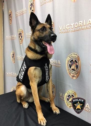 Victoria Police Department K 9 Unit Receives Protective Vests Local