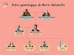 Généalogie de Marie-Antoinette : Arbre et explications