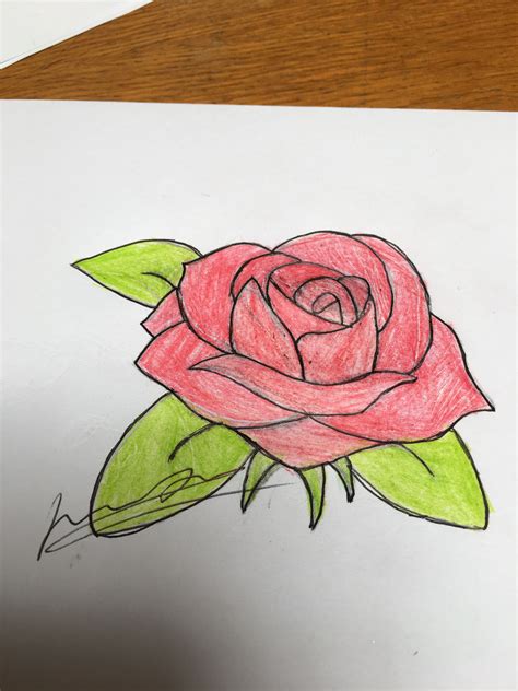 Pin By Craftycreations111 On Art Rose Drawing Cute Rose Cute Art