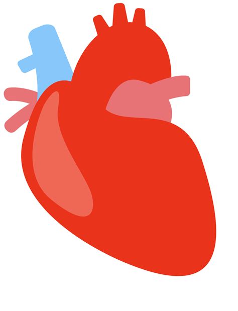 Realistic Heart Png Free Png Images