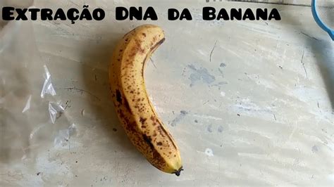 Experimento Extração Do Dna Da Banana Youtube