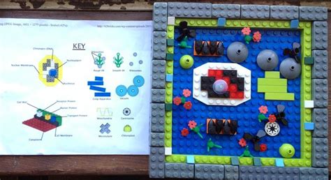 Use candy with this animal or human body project about cells! Lego plant cell modelHomeschool Helpful, Plants Cell ...