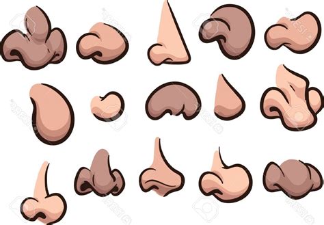 The Best Free Nose Vector Images Download From 58 Free Vectors Of Nose