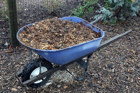 How To Make Your Own Organic Fertilizer Thorough Composting Nourish