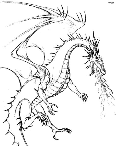 49 Beautiful Dragon Coloring Pages For Adults Png Colorist