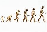 Images of Date Darwins Theory Evolution