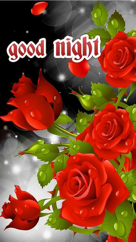 Beautiful Flower Rose Good Night 1590x2826 Download Hd Wallpaper Wallpapertip
