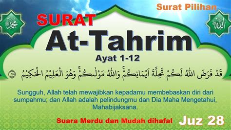This has no significance or relevance to the meaning of the surah tahrim. surat at-tahrim Juz 28 | Muhammad Alfin Noor - YouTube