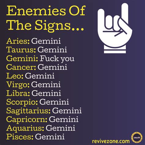 Not True My Best Friend Is Gemini ♐️ Zodiac Signs Funny Zodiac