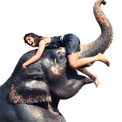 Girl Rides An Elephant Cutouts
