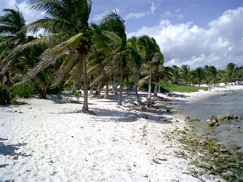 Paamul Playas De Mexico