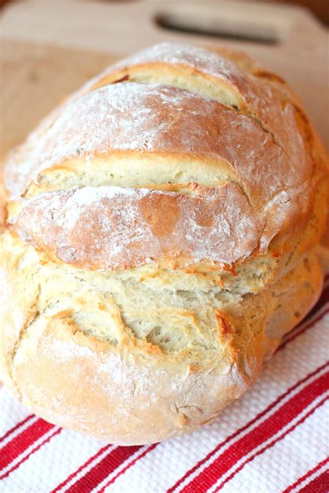 Mix with a dough whisk or wooden spoon. Larissa Another Day: Dutch Oven Artisan Bread
