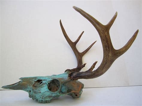 Copper Painted Natural Aqua Patina Deer Skull With Walnut Etsy