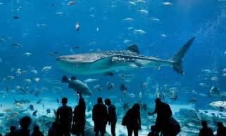 Georgia Aquarium: The Largest Aquarium in the World Amusing Planet