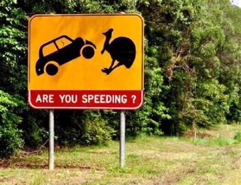 20 Hilarious Signs Found Only In Australia