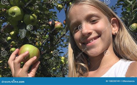 Kinderen Die Apple Eten Kind In Orchard Meisje Uit De Boeren Dat