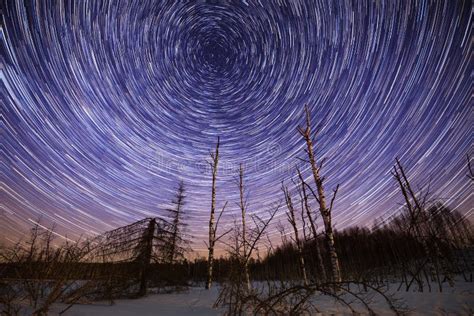 Winter Star Trails With Polaris Stock Image Image Of Dried Frost