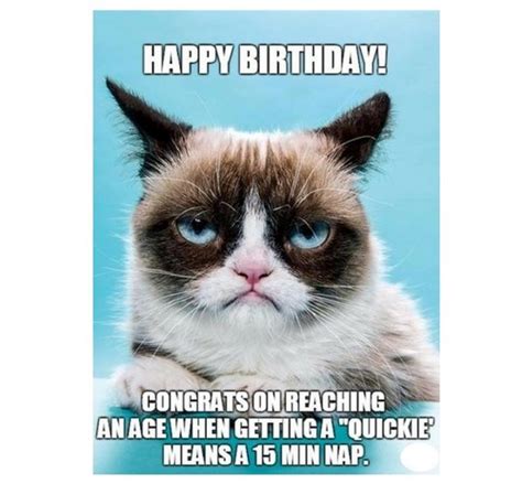 45 Cat Birthday Memes Wishesgreeting
