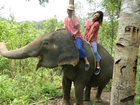 Pin Auf Elephants And Sexy Women Elefanten Fun Travel Reise