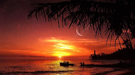 Beautiful Sunset Beach Picture 3678