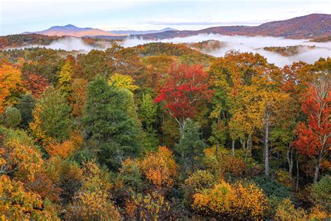 Fall Color Update October 14 2022 ⋆ Blowing Rock