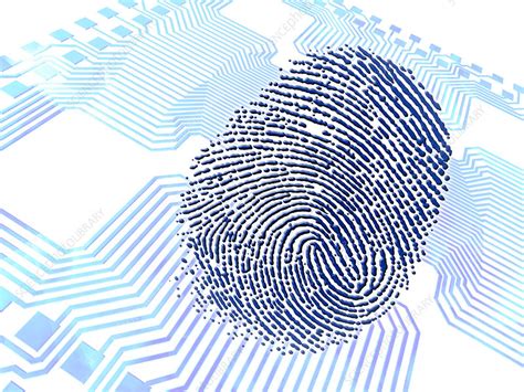 Biometric Fingerprint Scan Artwork Stock Image T9800489 Science