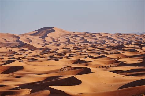 Infinitas Arenas Del Desierto Del Sahara Hermoso Atardecer Sobre Las