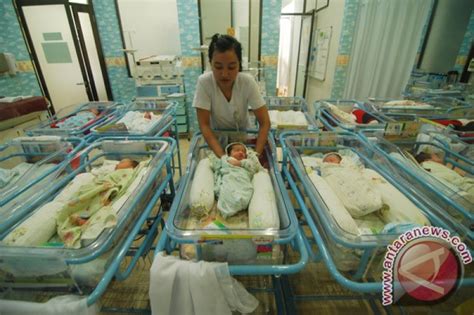 Angka Kematian Bayi Di Riau Masih Tinggi Antara News