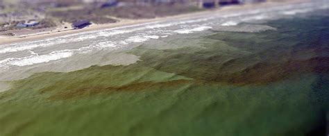 Red Tide Threatens Southwest Floridas Coastal Communities