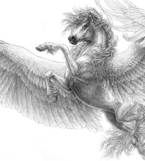 How to draw using pencils. Pegasus by April Schumacher | Pegasus art, Pegasus drawing ...
