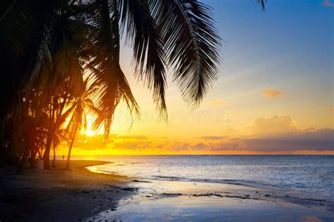 Art Sunrise Over The Tropical Beach Stock Image Image Of Beach