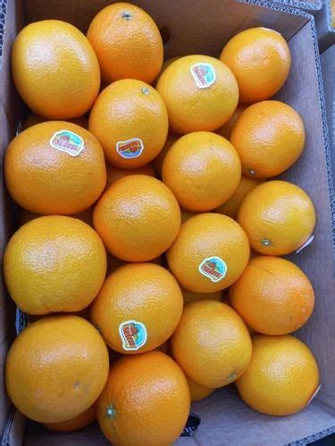 A Grade Fresh Malta Orange Fruit Tangerine At Rs 120kg In Mumbai