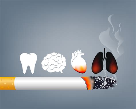رئة المدخن بعد الاقلاع عن التدخين