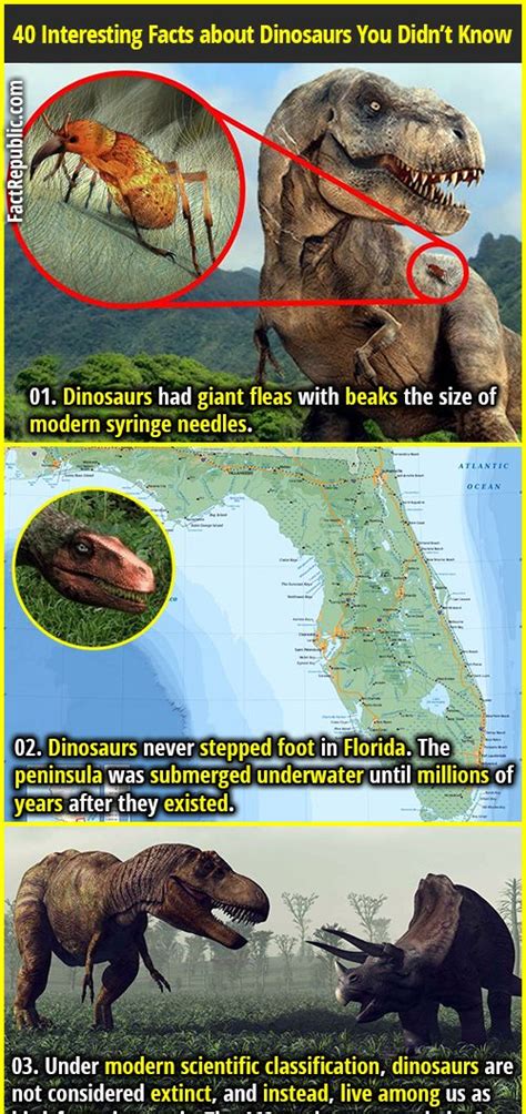 40 Dino Facts Everything You Need To Know About Dinosaurs Fact