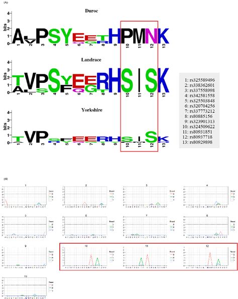 Visualization Of Single Nucleotide Polymorphism Snp Effects On