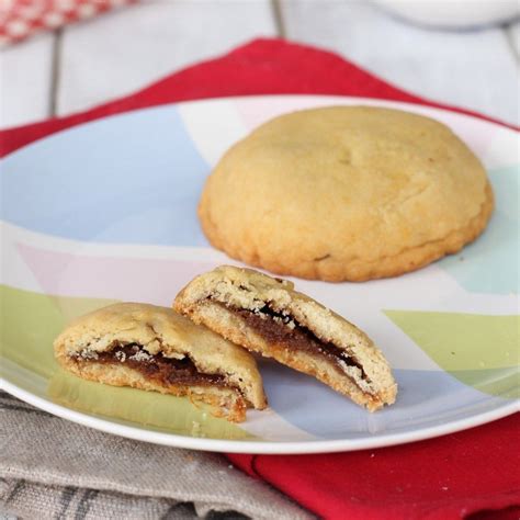 MOM'S FILLED RAISIN AND CHOCOLATE COOKIES - MANGIA MAGNA | Raisin filled cookies, Raisin cookies ...