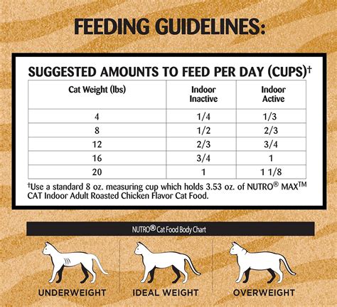 how much to feed a cat per day chart catwalls
